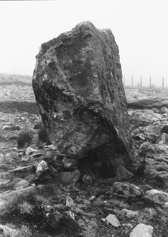 Southern standing stone