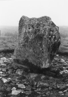 Southern standing stone