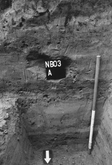 Excavation photograph : north facing section of trench A.