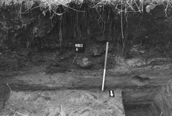 Excavation photograph : general view of north facing section of trench A.
