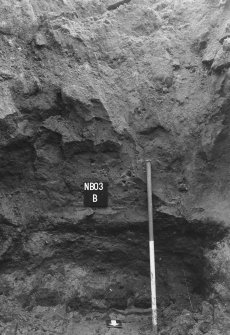 Excavation photograph : general view of north facing section of trench B.
