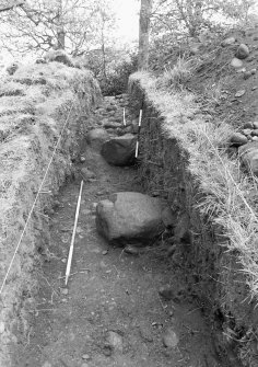 Assessment trench photograph : assessment trench.