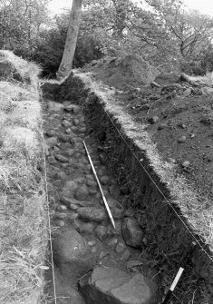 Assessment trench photograph : assessment trench.