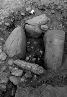 Excavation photograph : cut 024 showing 038, lining boulders, and find 36 in situ, from east.