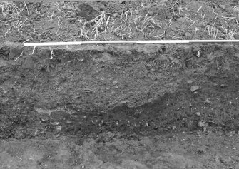 Excavation photograph : area 2 - possible trackway in west end of north baulk