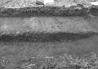 Excavation photograph : surface of wagonway cutting west half of trench