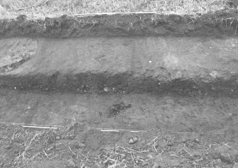Excavation photograph : surface of wagonway cutting east half of trench