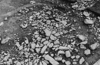 Excavation photographs: Film 29; Trench VI; Trench VII; general view.