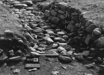 Excavation photographs: Film 43; Trench XVI; Trench XIX.