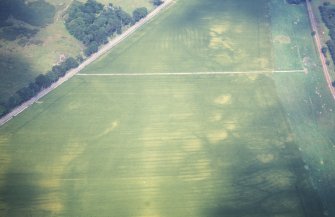 Aerial view of Baddan, Kirkton Farm, near Golspie, East Sutherland, looking SE.