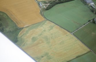 Aerial view of cropmarks of possible roundhouse, Bellevue, Tarradale, Black Isle, looking SE.