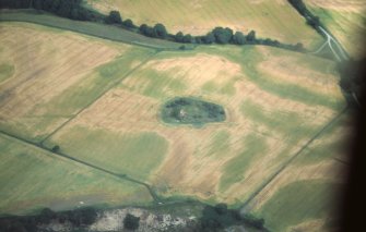 Aerial view of Tarradale ring ditch cropmarks and grassed enclosure, Black Isle, looking NNE.