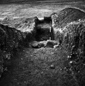 Braidwood: excavation photograph (1952-3).
