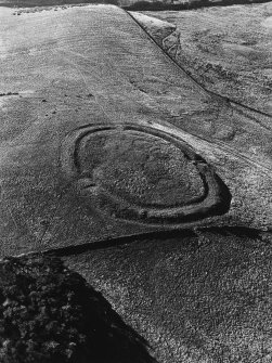 Braidwood, settlement: air photograph.