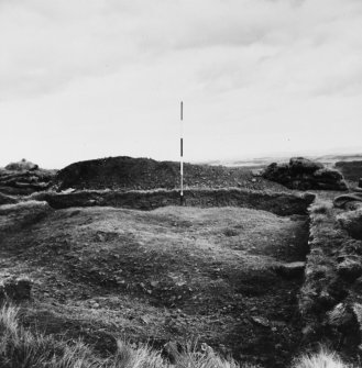 Braidwood: excavation photograph. View of NW quadrant looking East. 
Note ditch and depression, also sandstone block D
(Posthole 16). (Pole not significant).