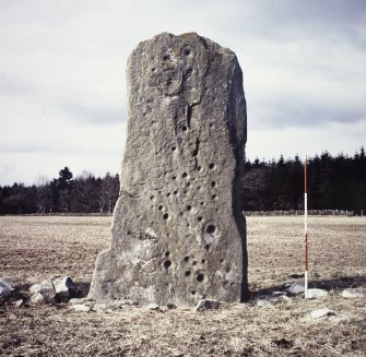 View of cup and ring marked standing stone, Ballymeanoch