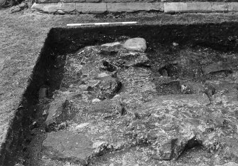Newark Castle
Frame 22 - Trench E from west
Frame 23 - Trench A early in excavation, showing walls F8 and F9 - from south

