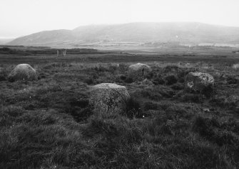 View of stone circle from south west.