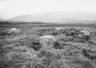 View of stone circle from south west.