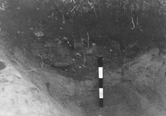 Newhall Point excavation archive
Frame 13: Area C: section of ditch fill, looking W.