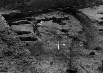 Newhall Point excavation archive
Frame 6: Area C, looking SE, after removal of grave fills.
