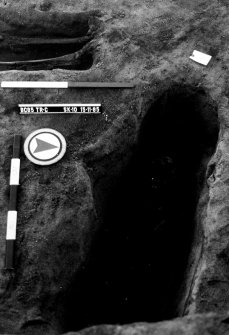 Newhall Point excavation archive
Frame 31: Area C, looking N. Grave cut 107, Skeleton 10. Published as grave G11.
