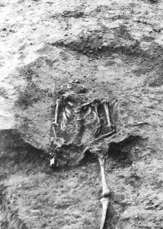 General views, including site under snow; well 276 & 30; skeletons SK23, SK1 and SK3; sections in area 3.