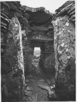 Camster Round and Long Cairns