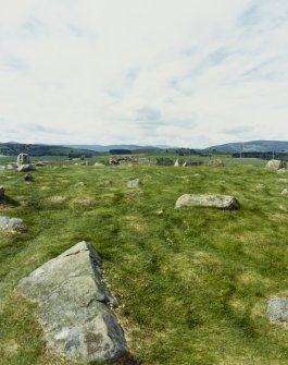 Tomnaverie Stone Circle, Coull, Aberdeenshire