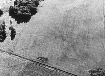 Pitfour, 'homestead moat': aerial photograph