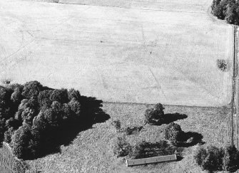 Pitfour, 'homestead moat': aerial photograph