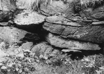 Iron Age Wall nr Dirleton, E.Lothian General Views