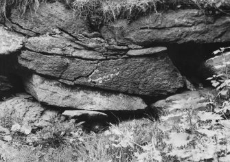 Iron Age Wall nr Dirleton, E.Lothian General Views