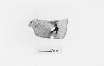 Kelso Abbey Small Finds 16.10.80
