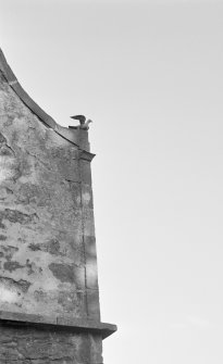 Detail of quoin, Johnstounburn House dovecot.