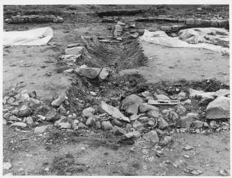 Barrhill, Antonine Wall (Roman) Excavated Headquarters Building 28.5.81