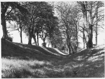 Antonine Wall Gen Views Watling Lodge - 1 + 2 + 3.  Rough Castle - 4+5