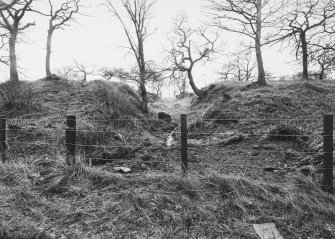 Antonine Wall Seabees Wood 