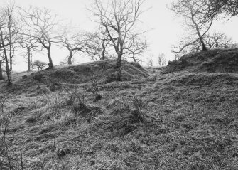 Antonine Wall Seabees Wood 