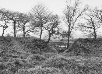 Antonine Wall Seabees Wood 