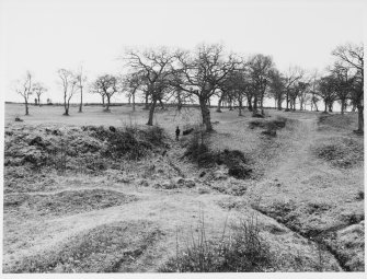 Antonine Wall Seabees Wood 