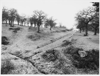 Antonine Wall Seabees Wood 