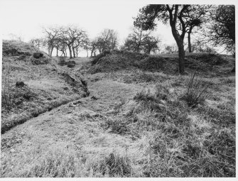 Antonine Wall Seabees Wood 