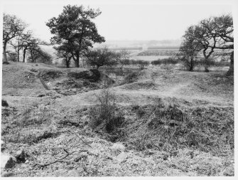 Antonine Wall Seabees Wood 