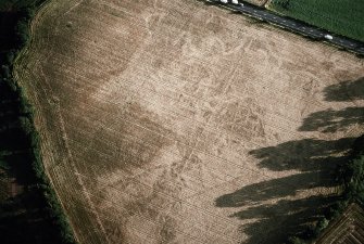 Oblique aerial view.