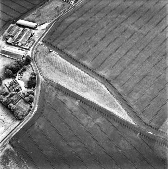 Balcathie, oblique aerial view, taken from the WNW, centred on the cropmarks of two pit-alignments.
