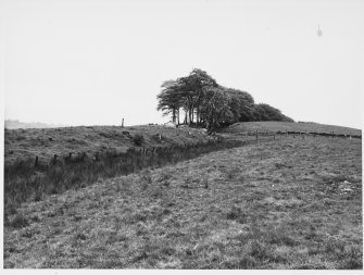 Roman Wall (Clyde Forth) Calendar park, Falkirk