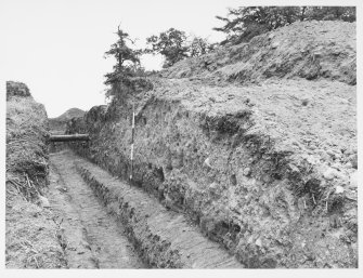 Antonine Wall Seabees Wood 