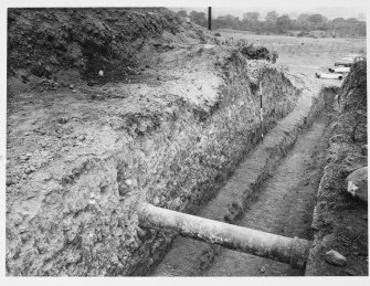 Antonine Wall Seabees Wood 