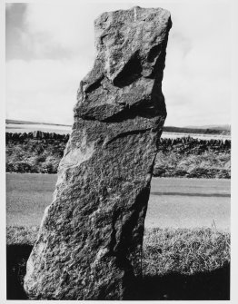 Aberlemno Stones, Angus